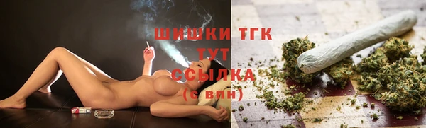 сатива Костерёво