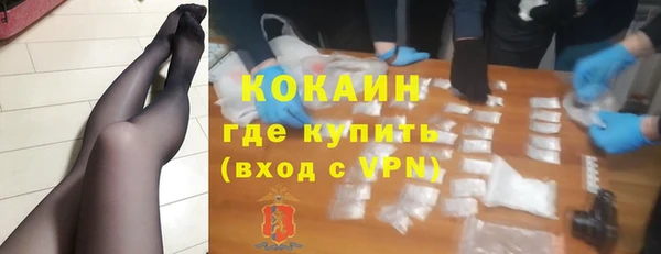 сатива Костерёво