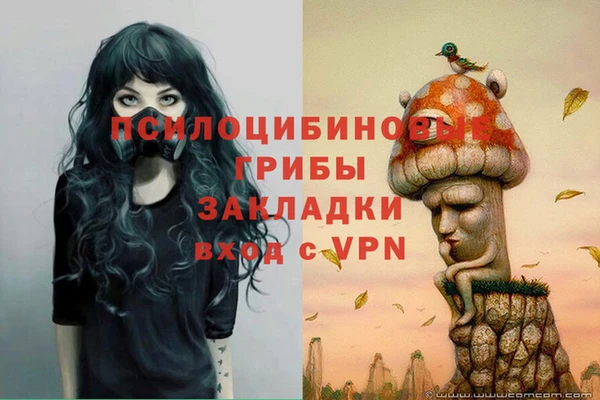 сатива Костерёво
