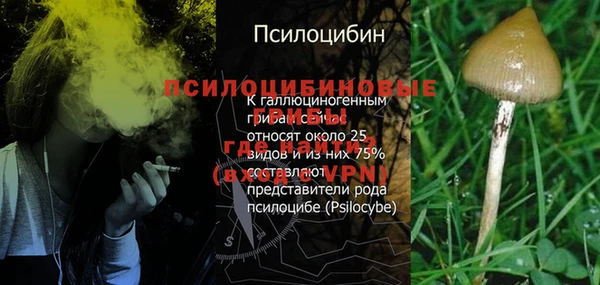 сатива Костерёво